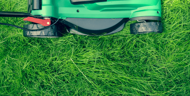Jak dbać o trawnik